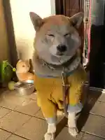 笠䅣稲荷神社(神奈川県)