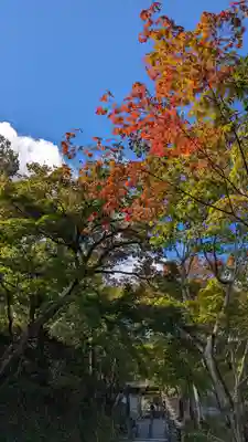 化野念仏寺(京都府)