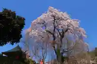 龍光寺(福島県)