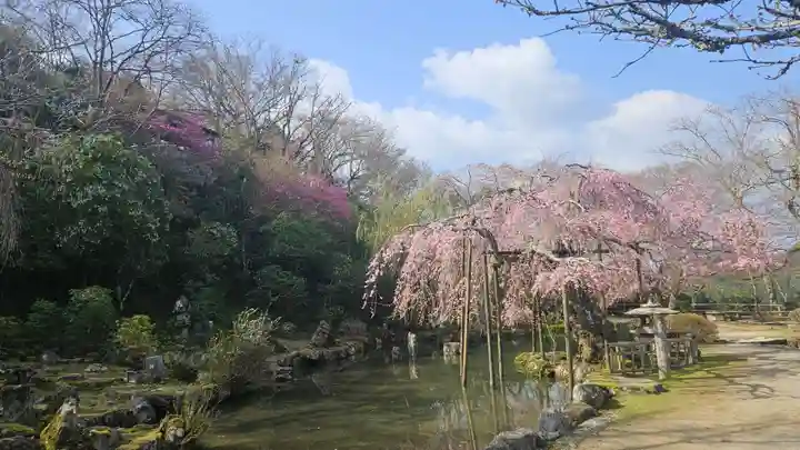 竹林院の庭園