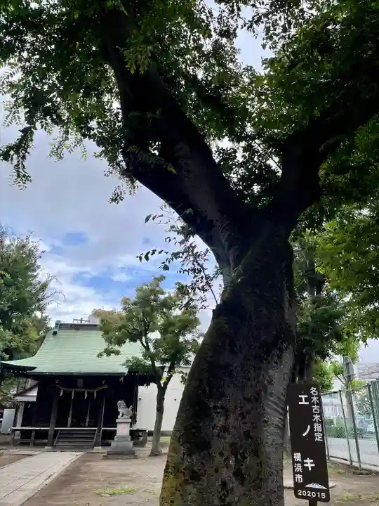 町屋神社(神奈川県)