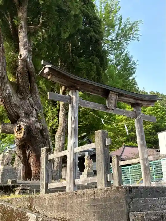 谷口神社の鳥居