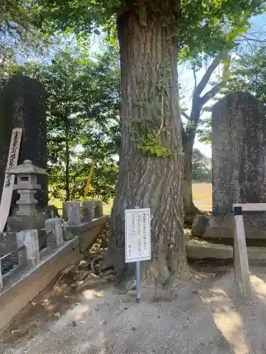 素鵞神社(茨城県)