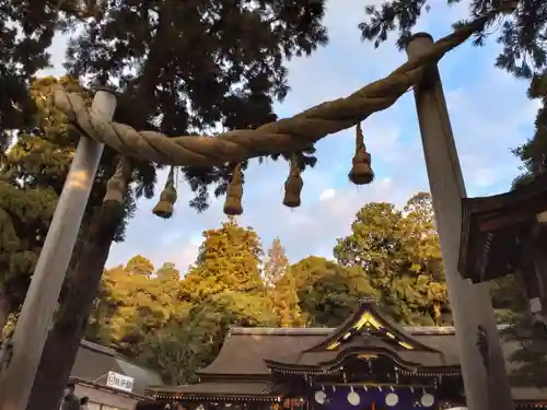 大神神社(奈良県)