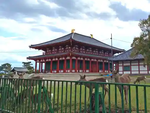 興福寺 中金堂のその他建物