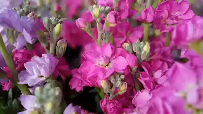 阿邪訶根神社のその他建物