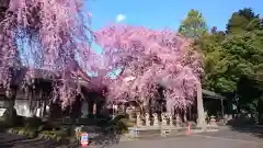 赤門の寺　法蔵寺(栃木県)