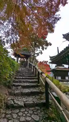 善峯寺(京都府)