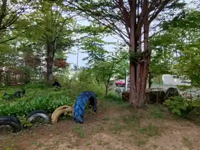 雄武神社の自然