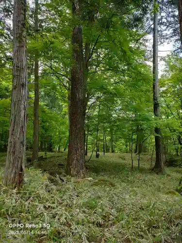 瀧尾高徳水神社 の自然