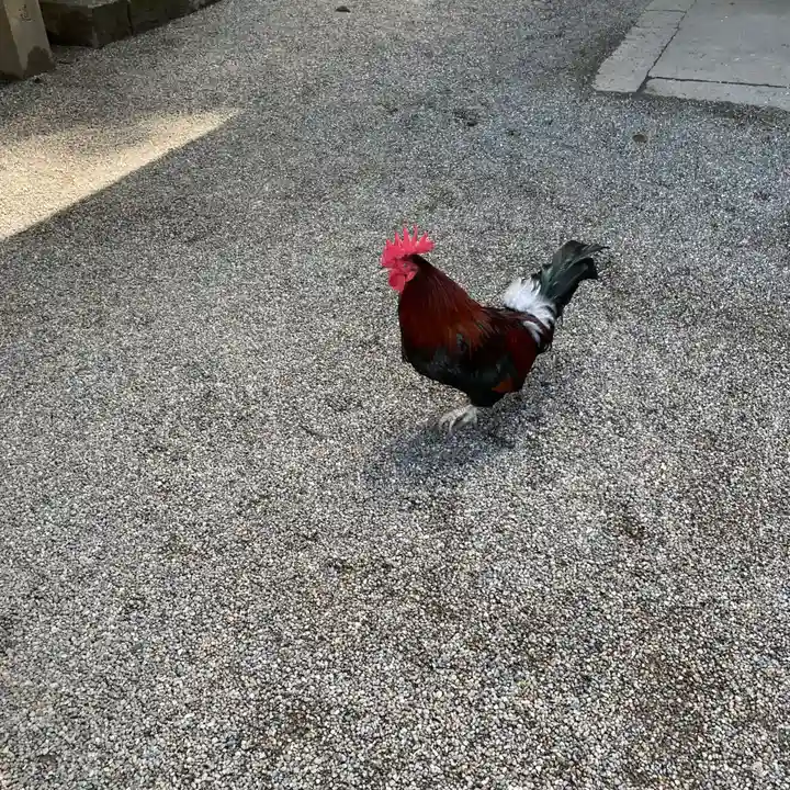 石上神宮(奈良県)