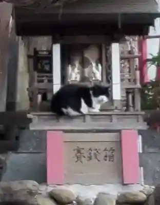 向陵稲荷神社の動物