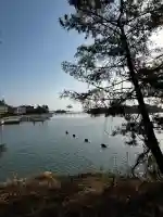 瑞巌寺五大堂の{uncategorized: "未分類", other: "その他", undefined: "問題あり", building: "その他建物", grave: "お墓", sacred_gate: "鳥居", guardian: "狛犬", statue: "像", buddha: "仏像", history: "歴史", nature: "自然", garden: "庭園", animal: "動物", pagoda: "塔", temizu: "手水舎", mountain_gate: "山門・神門", sanctuary: "本殿・本堂", subordinate: "末社・摂社", art: "芸術", scenery: "景色", jizo: "地蔵", ema: "絵馬", goshuin: "御朱印", omikuji: "おみくじ", items: "授与品その他", amulet: "お守り", goshuincho: "御朱印帳", eats: "食事", festival: "お祭り", votive_dance: "神楽", shichigosan: "七五三参", wedding: "結婚式", experience: "体験その他", initially: "初詣", around: "周辺", anti_infection: "感染症対策"}