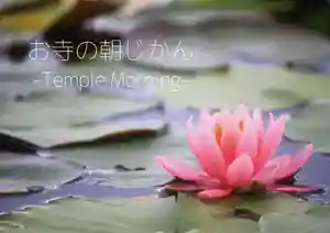 大慶寺(静岡県) 2020年03月01日(日)〜(2020年02月29日(土) 14時24分31秒投稿)