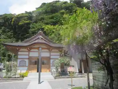別願寺の本殿・本堂