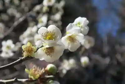 意賀美神社(大阪府)