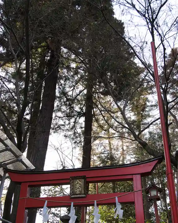 渋川八幡宮(群馬県)