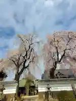 長松院(福島県)