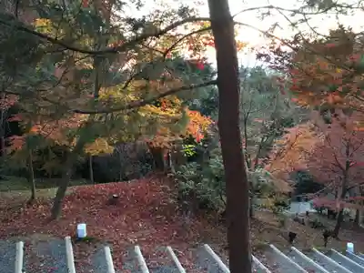 高台寺（高台寿聖禅寺・高臺寺）(京都府)