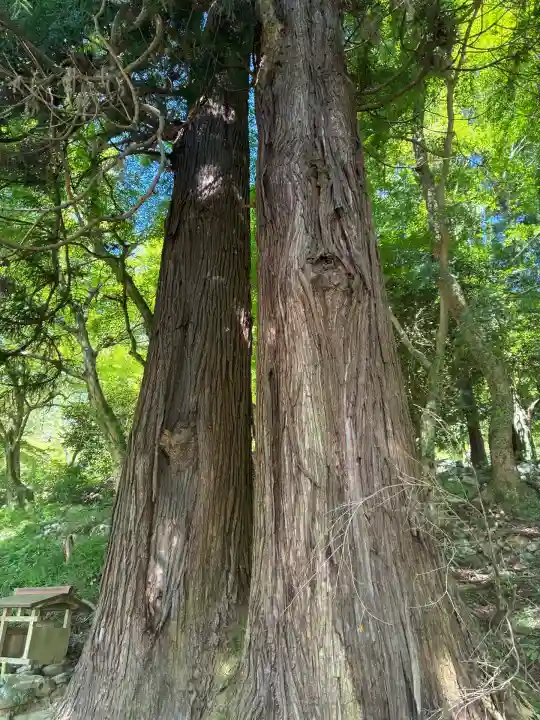 長谷寺(奈良県)