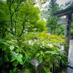 古峯神社の自然