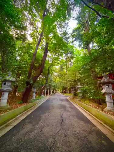 道野辺八幡宮(千葉県)