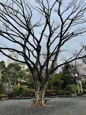 天祖諏訪神社(東京都)