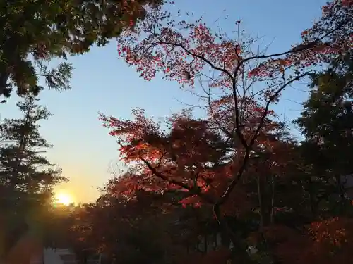 円覚寺の{uncategorized: "未分類", other: "その他", undefined: "問題あり", building: "その他建物", grave: "お墓", sacred_gate: "鳥居", guardian: "狛犬", statue: "像", buddha: "仏像", history: "歴史", nature: "自然", garden: "庭園", animal: "動物", pagoda: "塔", temizu: "手水舎", mountain_gate: "山門・神門", sanctuary: "本殿・本堂", subordinate: "末社・摂社", art: "芸術", scenery: "景色", jizo: "地蔵", ema: "絵馬", goshuin: "御朱印", omikuji: "おみくじ", items: "授与品その他", amulet: "お守り", goshuincho: "御朱印帳", eats: "食事", festival: "お祭り", votive_dance: "神楽", shichigosan: "七五三参", wedding: "結婚式", experience: "体験その他", initially: "初詣", around: "周辺", anti_infection: "感染症対策"}