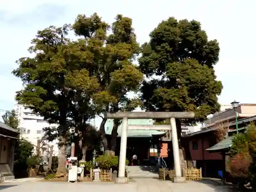 小村井 香取神社の鳥居