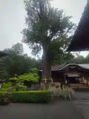 北口本宮冨士浅間神社(山梨県)