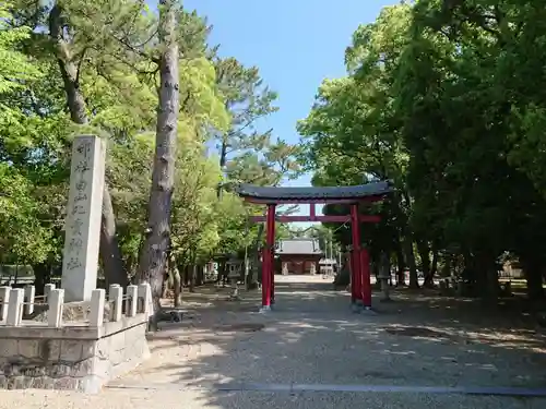 白山比売神社の鳥居