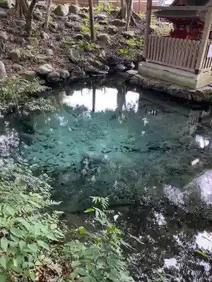 泉神社(茨城県)