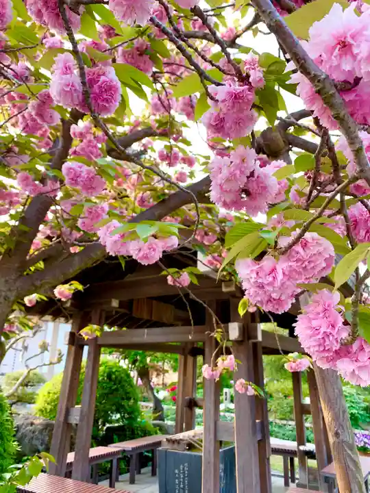 龍華寺の手水舎