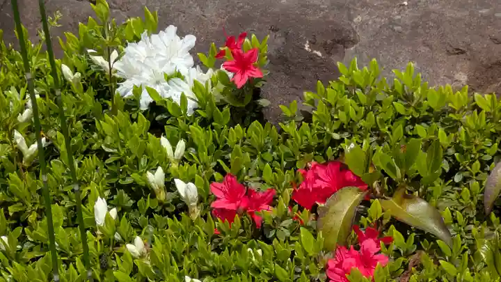 乘願院(京都府)