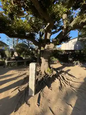 薭田神社(東京都)