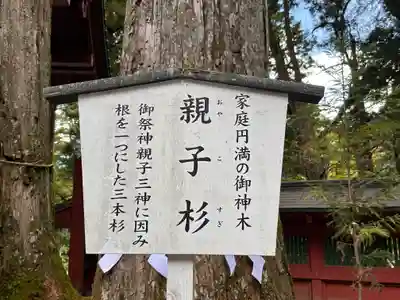 日光二荒山神社(栃木県)