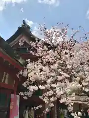 石清水八幡宮(京都府)