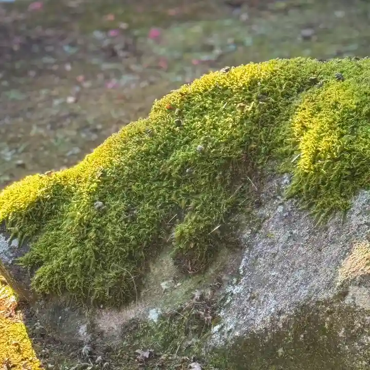 伊勢の国 四天王寺(三重県)