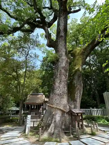 伊弉諾神宮の{uncategorized: "未分類", other: "その他", undefined: "問題あり", building: "その他建物", grave: "お墓", sacred_gate: "鳥居", guardian: "狛犬", statue: "像", buddha: "仏像", history: "歴史", nature: "自然", garden: "庭園", animal: "動物", pagoda: "塔", temizu: "手水舎", mountain_gate: "山門・神門", sanctuary: "本殿・本堂", subordinate: "末社・摂社", art: "芸術", scenery: "景色", jizo: "地蔵", ema: "絵馬", goshuin: "御朱印", omikuji: "おみくじ", items: "授与品その他", amulet: "お守り", goshuincho: "御朱印帳", eats: "食事", festival: "お祭り", votive_dance: "神楽", shichigosan: "七五三参", wedding: "結婚式", experience: "体験その他", initially: "初詣", around: "周辺", anti_infection: "感染症対策"}