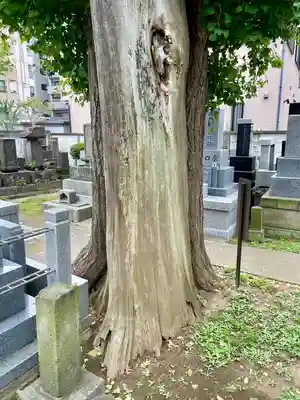 甚行寺(神奈川県)