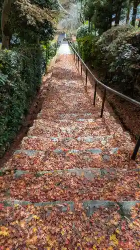 高倉天皇皇后　大原西陵(京都府)