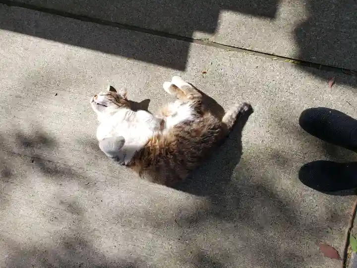 荻窪白山神社(東京都)