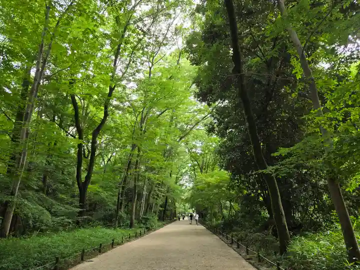 賀茂御祖神社(下鴨神社)(京都府)