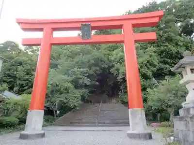 藤島神社(贈正一位新田義貞公之大宮)の鳥居
