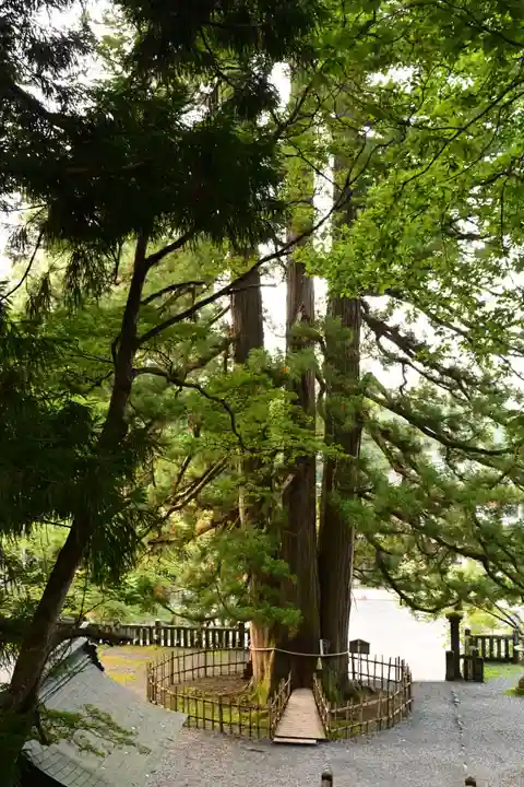 戸隠神社中社(長野県)