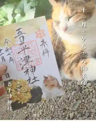 吾平津神社の御朱印