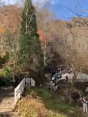 戸隠神社奥社(長野県)