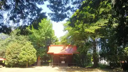 中里氷川神社の自然