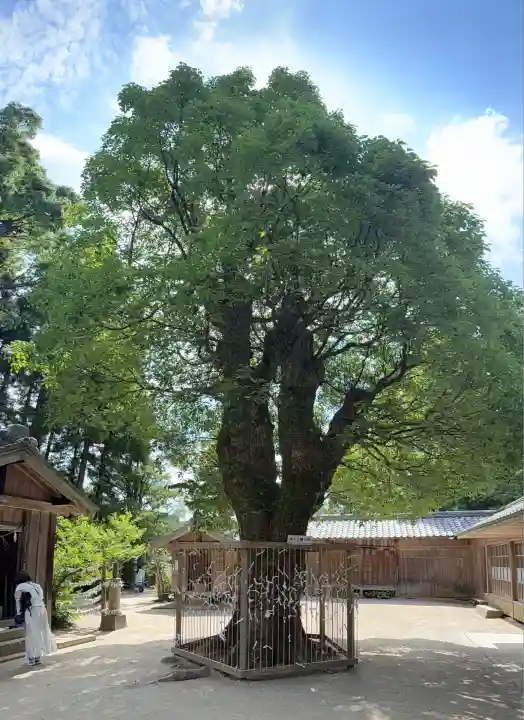 櫻井神社(福岡県)