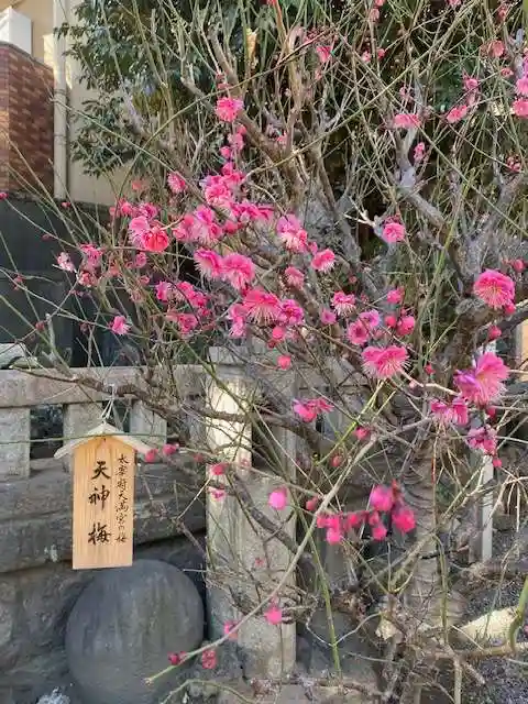 小野照崎神社(東京都)